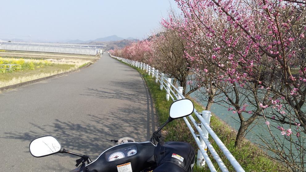 20180325_144632[1].jpg