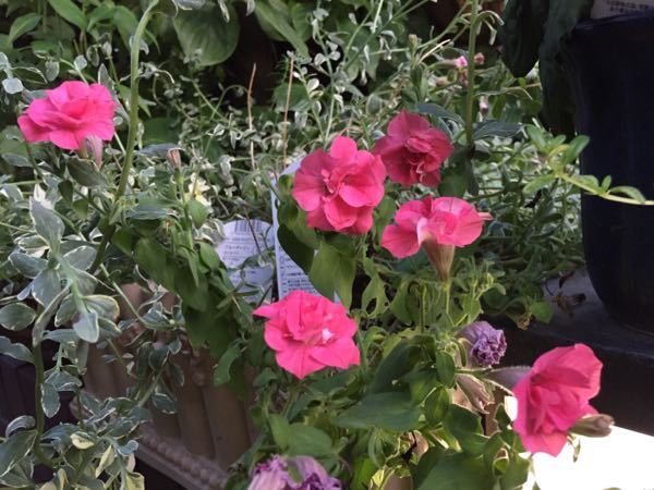 rblog-20160710211846-02.jpg