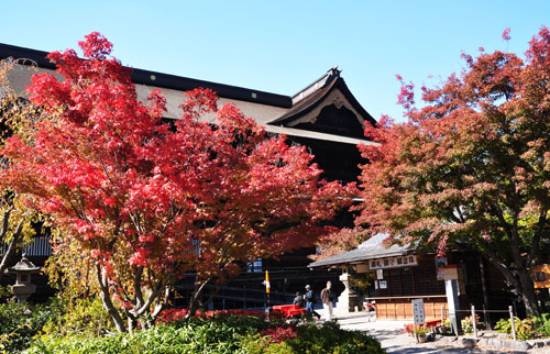 紅葉１