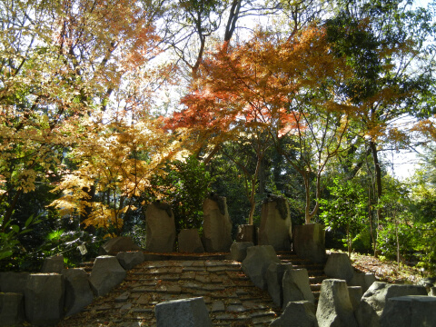 林試の森公園