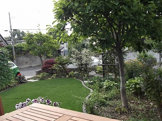 DSCF0034.jpg