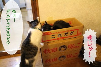 20121225113144_w_400_h_266_6377123.jpg