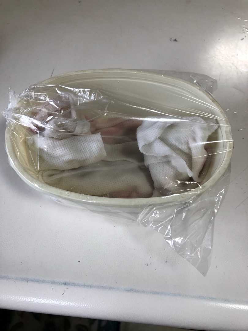 直播の野菜たち 菜園暮らし庭の花 楽天ブログ