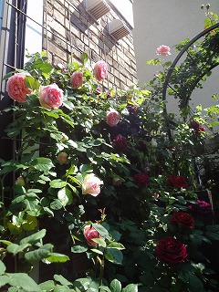 DSC05169.jpg