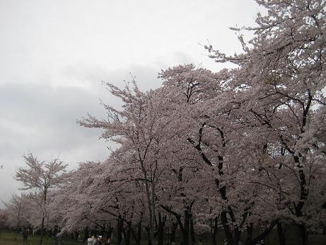 千本桜