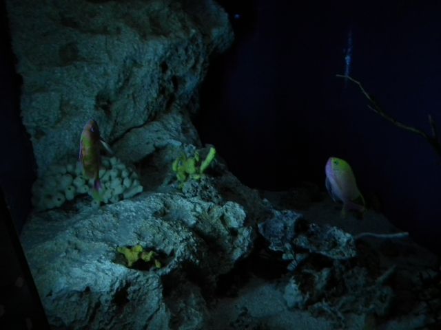 DSCF9258.JPG