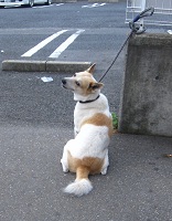 IMG_8984.JPG