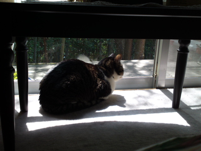 2012-04-01 12:23:33