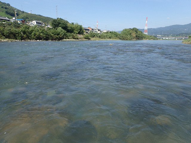 resize0008.jpg