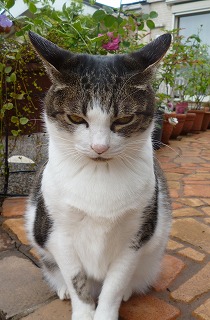 P1180133-ass.jpg
