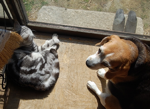 DSC_0033.JPG
