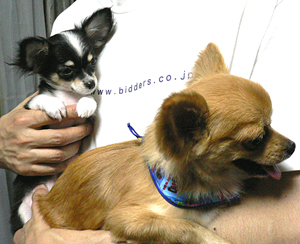 20120728a.jpg