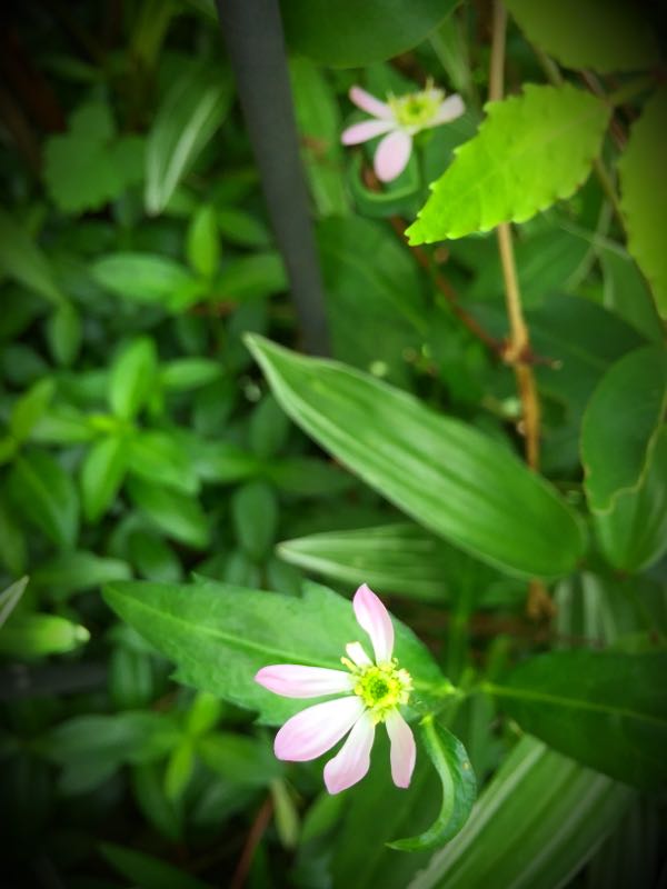 rblog-20150430204040-03.jpg