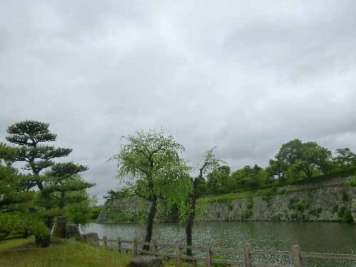 P1100868(1).JPG