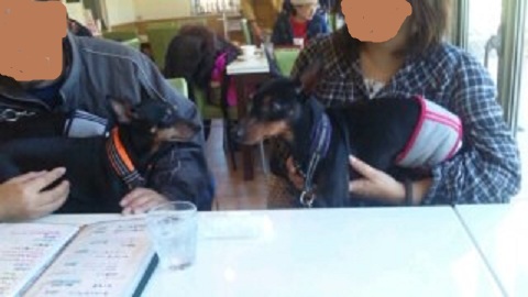 SH3D47540001.jpg