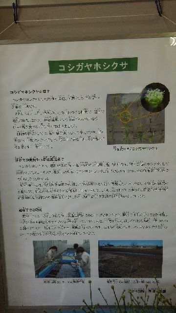 rblog-20180919205557-02.jpg