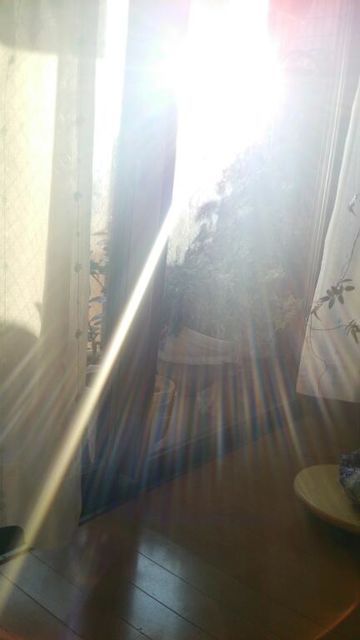 16452683_2017455494_90large1.jpg