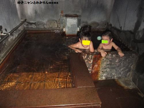 DSCF3528.jpg