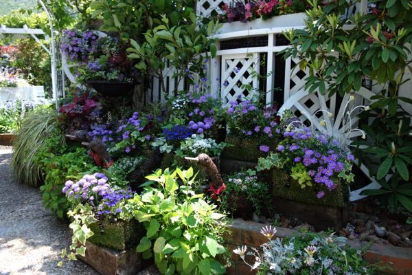 rblog-20180504205240-04.jpg