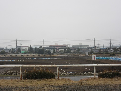 高崎競馬場4.jpg