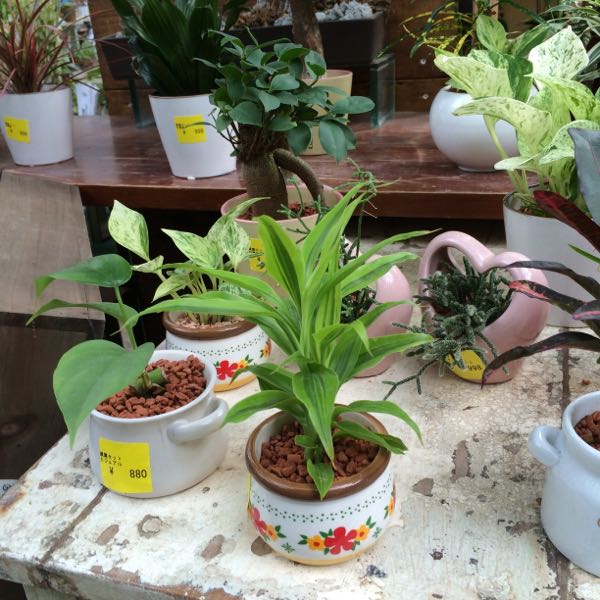 rblog-20150922152112-03.jpg