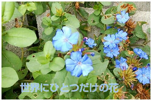 rblog-20160907230908-00.jpg