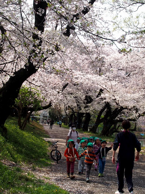 P4060307.jpg