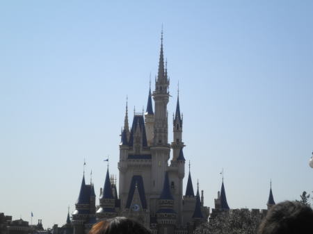 シンデレラ城/東京ディズニーランド | ディズニーランド