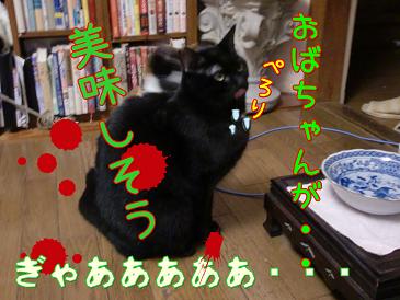 ぎゃぁあ.JPG