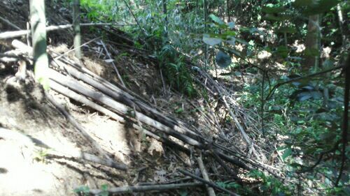 rblog-20180829124234-03.jpg
