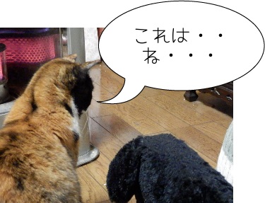 P4110017.png