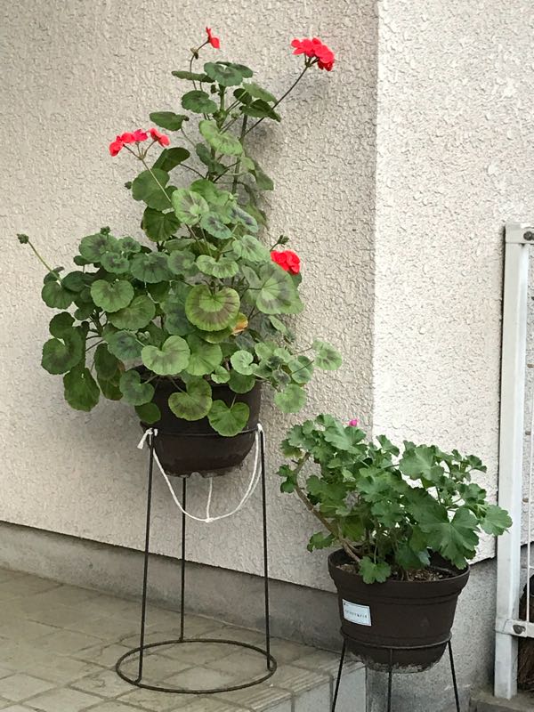 rblog-20180408182540-06.jpg
