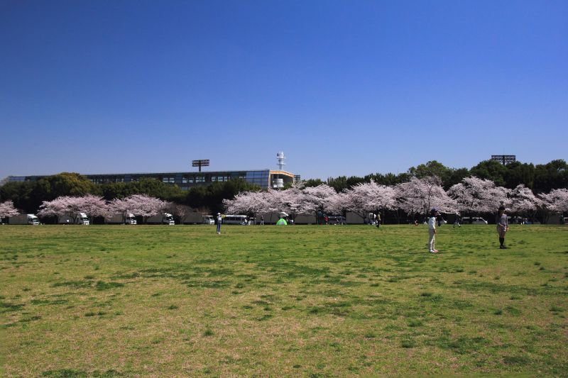 万博記念公園_006.jpg