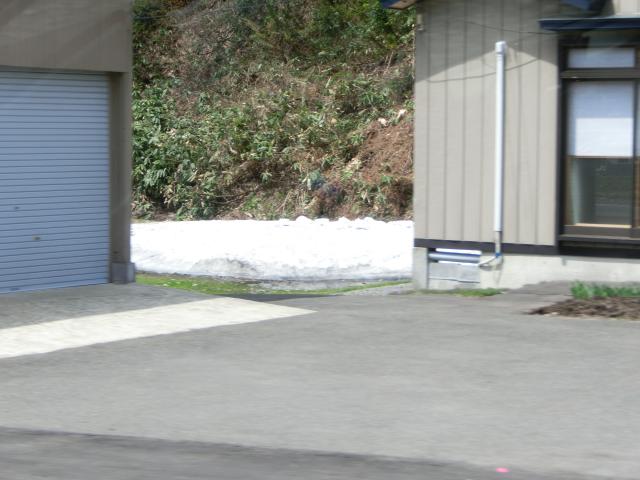 CIMG0408.jpg