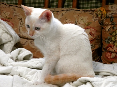 P7070019めいちゃんブログ.jpg