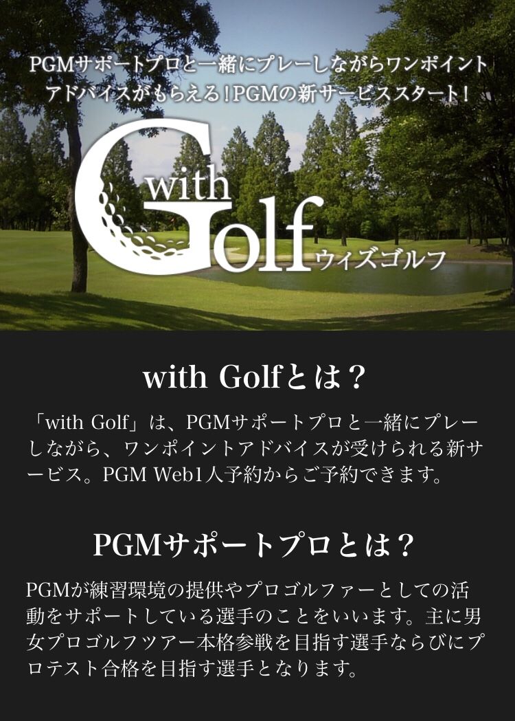With Golf 2番アイアンのゴルフ 楽天ブログ