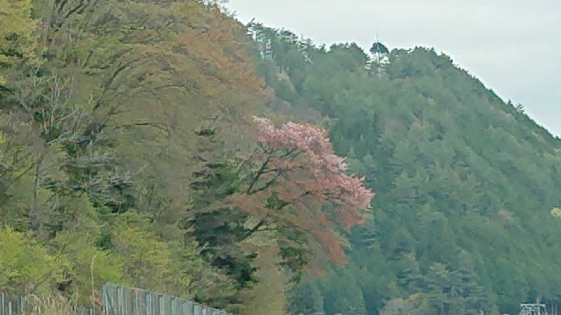溝掃除 ぜにいばのおうち 楽天ブログ