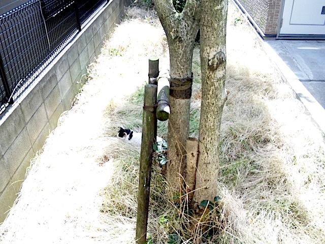 120402_095106.jpg