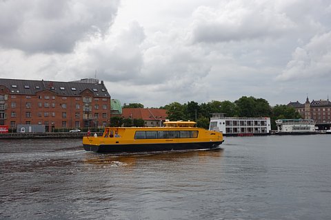 DSC01309rtw.jpg