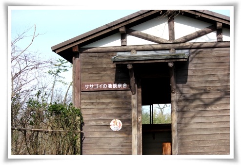 健民海浜公園-4 ササゴイの池観察舎-1 13.1.12