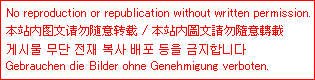 注意文