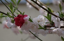 IMG_3814-9.jpg