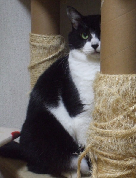 コピー ～ DSCF5319.JPG