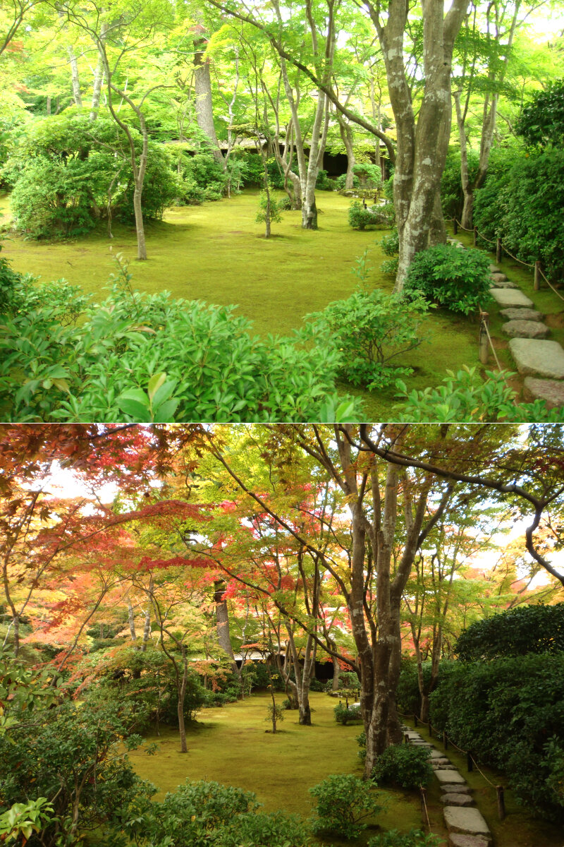 _c1111京都・嵐山・大河内山荘庭園の紅葉(1).jpg