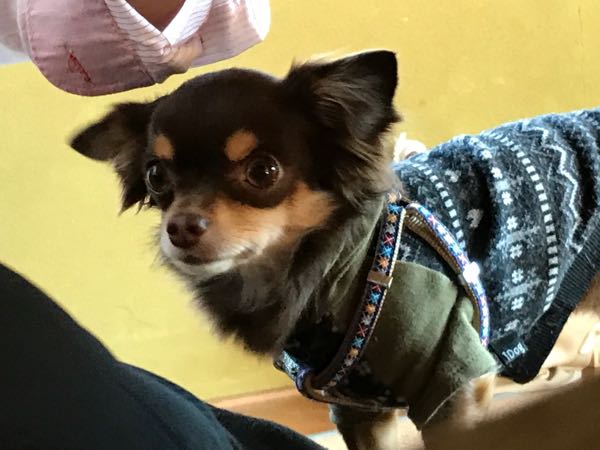 rblog-20170216203634-08.jpg