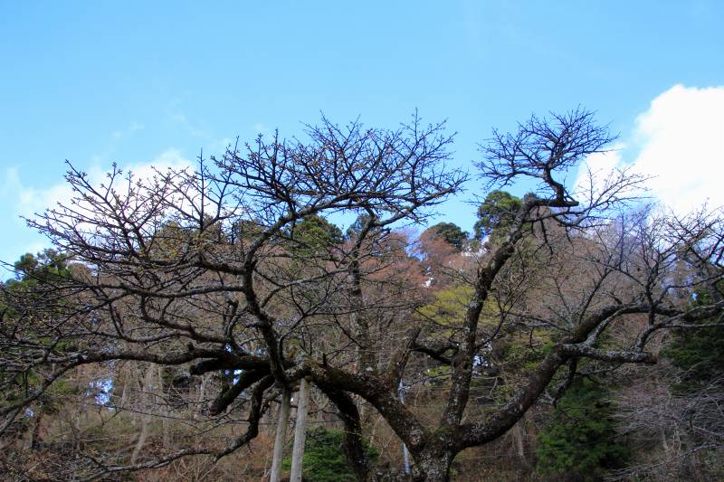 金剛山_03.jpg