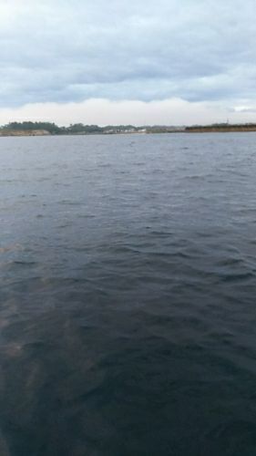 rblog-20180917170321-02.jpg