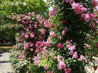 20160521 ハウステンボス8