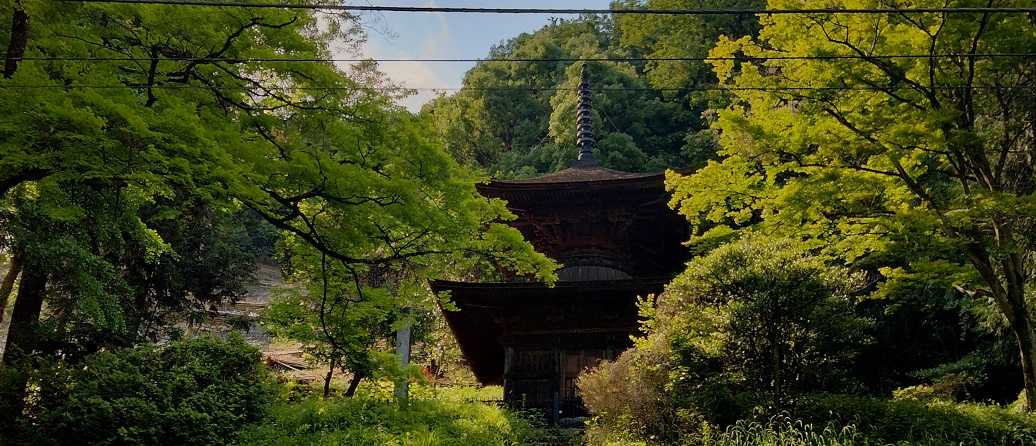 金鑚神社（かなさなじんじゃ）から御嶽山・御嶽城跡 低山登山 | 家一軒を解体してみたら いろいろやってみたくなる - 楽天ブログ