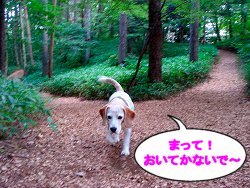 20120831萌木の村